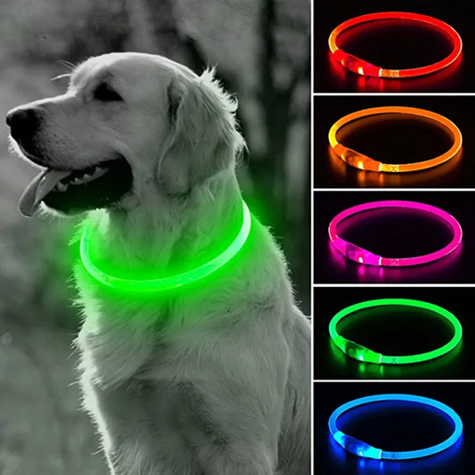 LED Dog Collar: Keep Your Pet Safe and Visible in Low Light